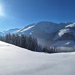 Дом отдыха Strauss