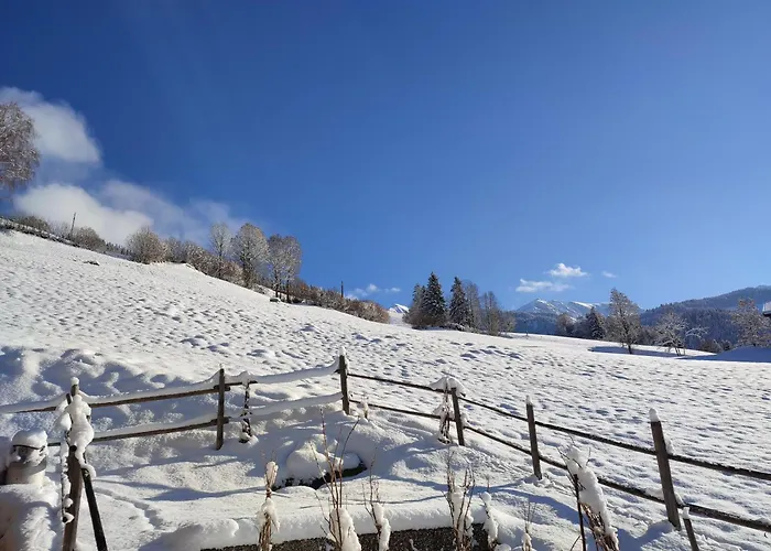 Strauss Дом отдыха