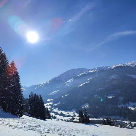 Strauss Prázdninový dům Westendorf