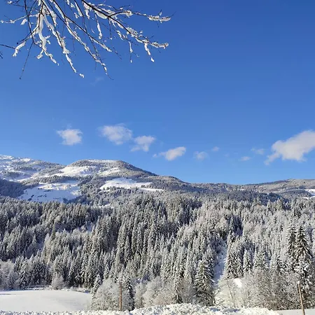 Holiday home Strauss Westendorf